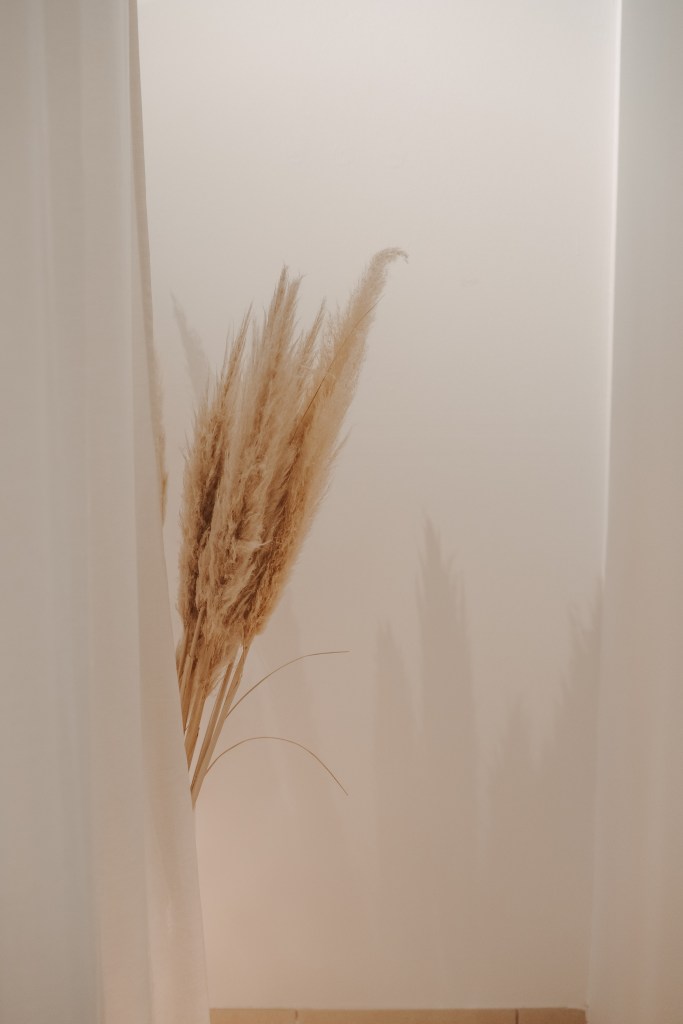 Heilpraktikerin Selina Scherer aus Mainz – Expertin für Reizdarm, Neurodermitis, Akne, Bluthochdruck.